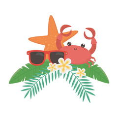 Summer and vacation icon set design