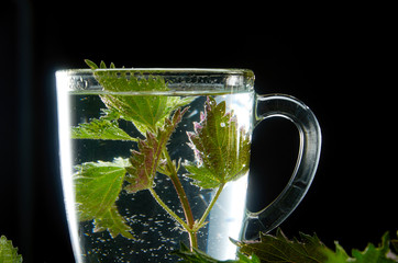Cup of medicinal nettle tea with nettle leaves