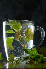 Cup of medicinal nettle tea with nettle leaves and water dust on black background