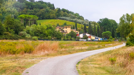 Fototapeta na wymiar Road through a Tuscan Village.