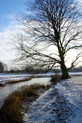 Winter. Snow. Frozen. River Reest De Wijk Drente Netherlands