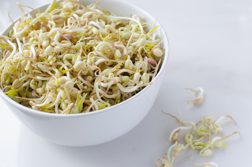 mung beans on white background, in a white deep plate