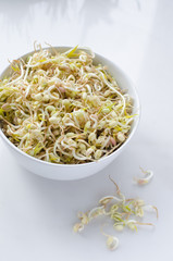 mung beans on white background, in a white deep plate