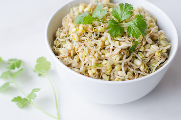 mung beans salad on white background, in a white deep plate