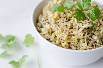 mung beans salad on white background, in a white deep plate