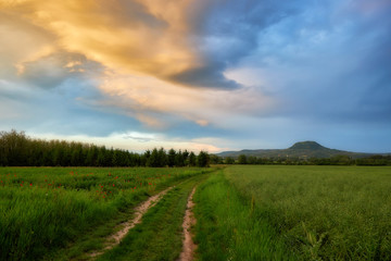 Fototapeta na wymiar Beautiful hungarian landscape with road at springtime in evening