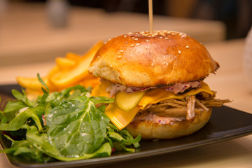Close-up of tasty burger with salad and french fries