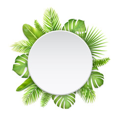 White label with tropical leaves. Leaves of monstera  palm tree and fern. Background for ad discount.