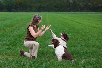 Naklejka na ściany i meble a woman is clapping her hands for two dogs and the dogs give her a paw
