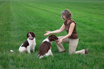 a woman is playing with her two relaxed dogs, the dogs are happy