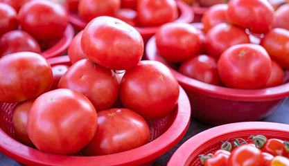 Delicious fresh tomatoes fruit vegetable food in red plastic basket at tradition market afternoon, Seoul, South Korea, harvest concept, close up.