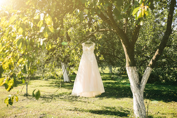 Beautiful bridal lace dress is hanging on the green tree. Stylish clothes for wedding ceremony outdoors.
