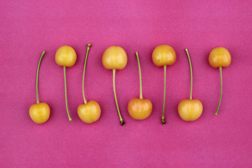 Yellow sweet cherries on a pink background.