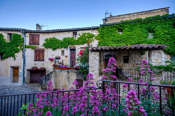 Rue de village Esparron de Verdon au printemps, fleurs de rose et valériane rouge. Provence,...