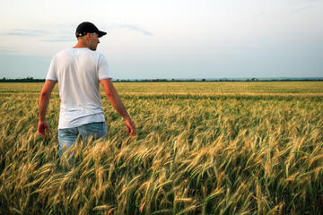 Male farmer standing in a wheat field during sunset. Man Enjoys Nature © es0lex