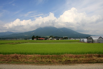 Obraz premium 田園