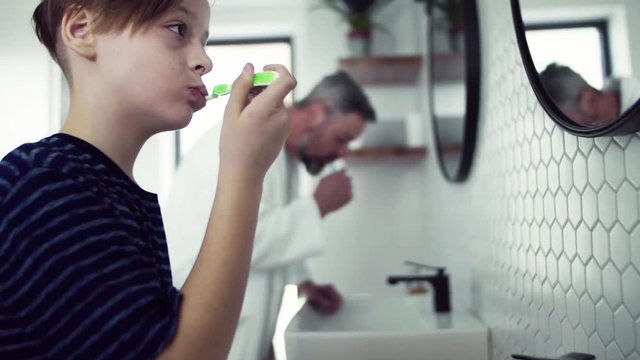 Mature father with small son brushing teeth in the bathroom in the morning.