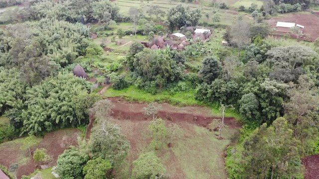 Aerial drone view of a village in africa with people dancing in a circle near a old houses. Green wild forest in a rural African area. Happy Celebration with ritual exotic dances in circle top view