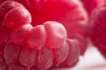 raspberries on a white saucer close up, macro photo