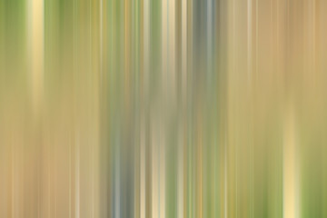 Obraz premium green gradient background / abstract blurry fresh green background
