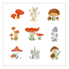 Set with mushrooms. Freehand drawing colorful illustration. Can be used for scrapbook, postcards, print and etc.