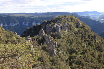 Fototapeta na wymiar gorges du Tarn