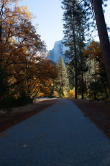 autumn in yosemite valley along merced river, california