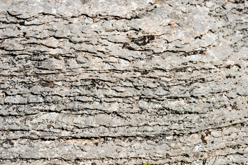 Background of layered rock (limestone) separated by layers of clay. Lessinia stone or Prun stone. Plateau of Lessinia, Verona, Veneto, Italy
