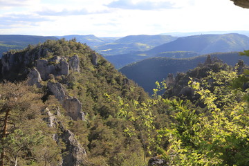 Fototapeta na wymiar gorges du Tarn