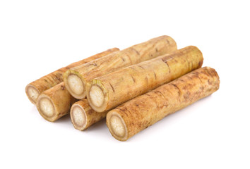 fresh burdock root or Gobo on white background
