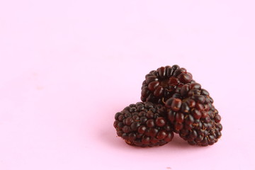 delicious blackberries on colorful background