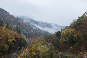 paesaggio autunnale