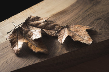 dry autumn leaves on wooden background.
