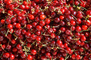 many fresh ripe berries sweet cherry background