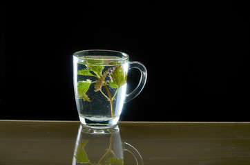 Cup of medicinal nettle tea on black background