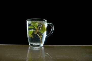 Cup of medicinal nettle tea on black background