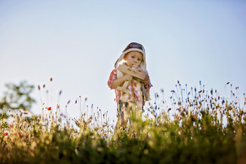 Sweet toddler baby boy, child playing with airplane in poppy fiead, beautiful sunset