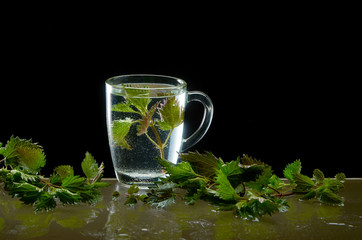 Cup of medicinal nettle tea with nettle leaves on black background