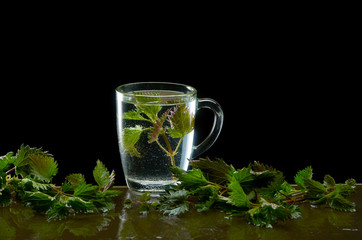 Cup of medicinal nettle tea with nettle leaves on black background