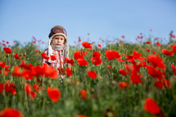 Sweet toddler baby boy, child playing with airplane in poppy fiead, beautiful sunny day