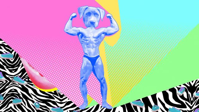 Seamless young animation of cartoon style dog head bodybuilder with duotono colors and halftone effect. Stop motion photo montage art collage with lips psychedelic background.