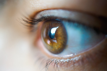 close up of a womans eye