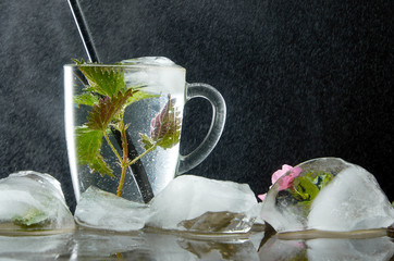 Cup of medicinal nettle tea with nettle and ice leaves on black background and water dust