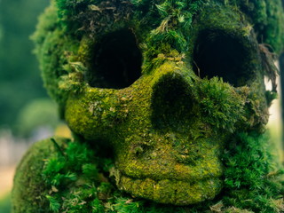 Fake human skull covered with moss and grass