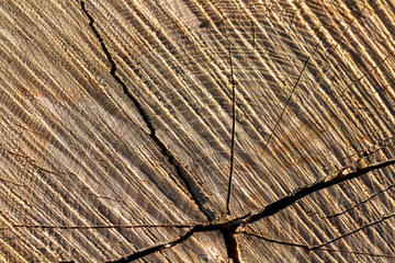 The texture of the wood with cracks.