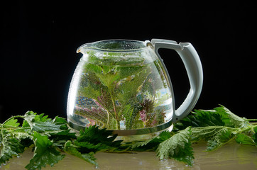 Tea teapot of medicinal nettle with nettle leaves on a black background