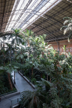 Atocha, Madird