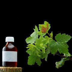 BEAUTIFUL BRANCH OF VIBURNUM AND A BOTTLE OF MEDICINE ON DARK BACKGROUND