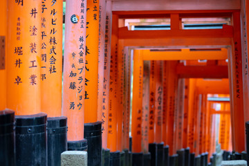Fushimi Inari Shrine Kyoto Japan