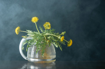 Dandelion with roots and leaves in a glass teapot on a dark background in smoke